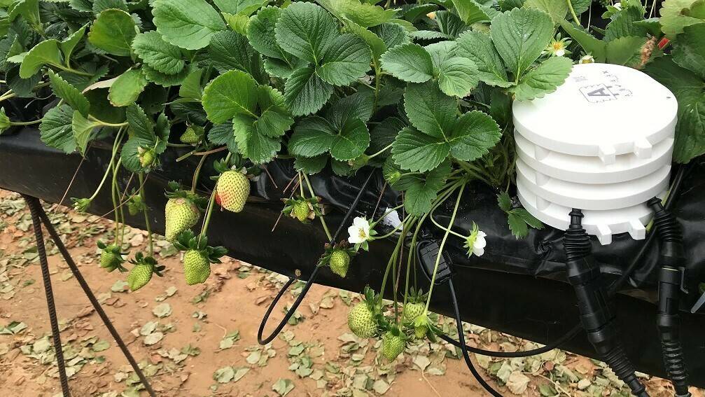 fresal|farm-1554307_960_720|bosch-2|bosch-3|bosch_logo_english|Vcia